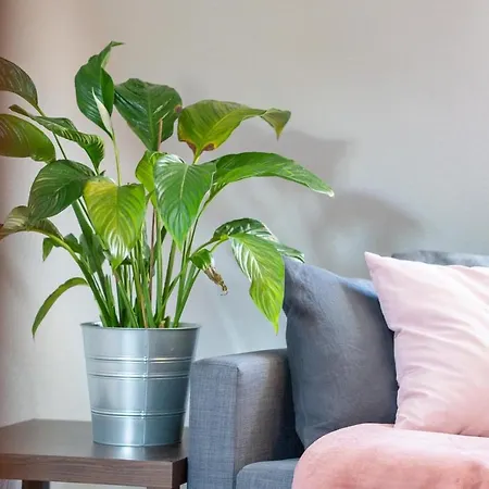 Altstadtbleibe Lägenhet