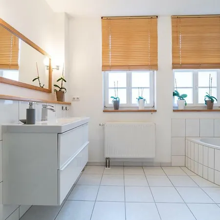 Apartment Altstadtbleibe *