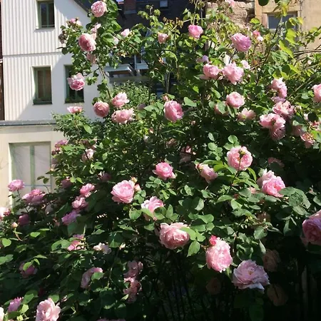 Altstadtbleibe Apartment