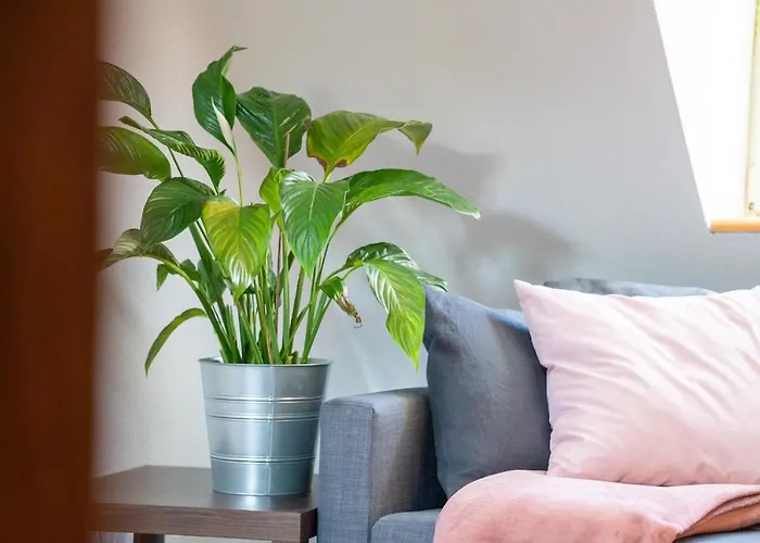 Altstadtbleibe Appartement