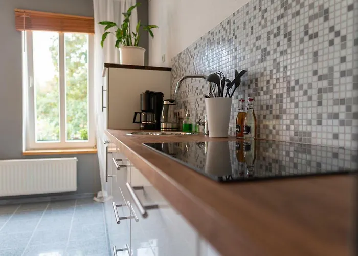 Altstadtbleibe アパート ナウムブルク