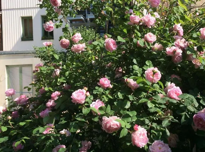 Altstadtbleibe アパート